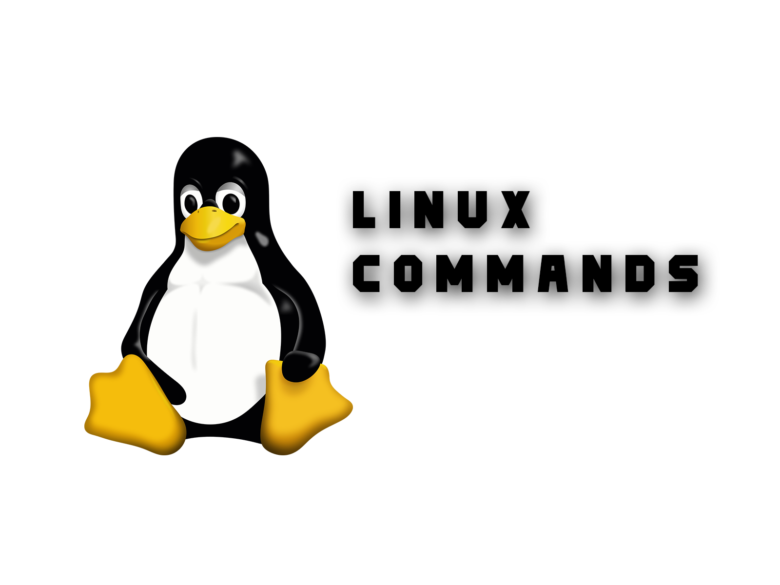 Linux commands 101